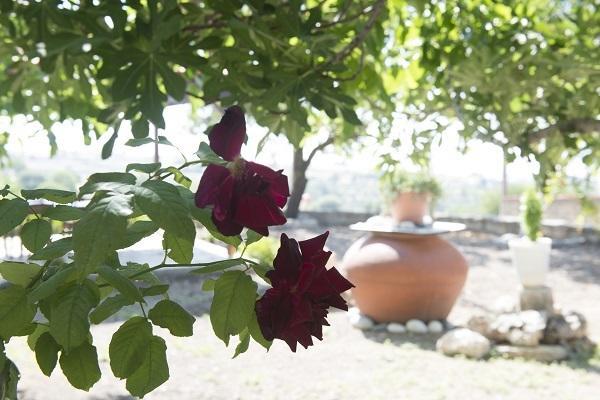 הוילה Pachna Marianna Mansion חדר תמונה
